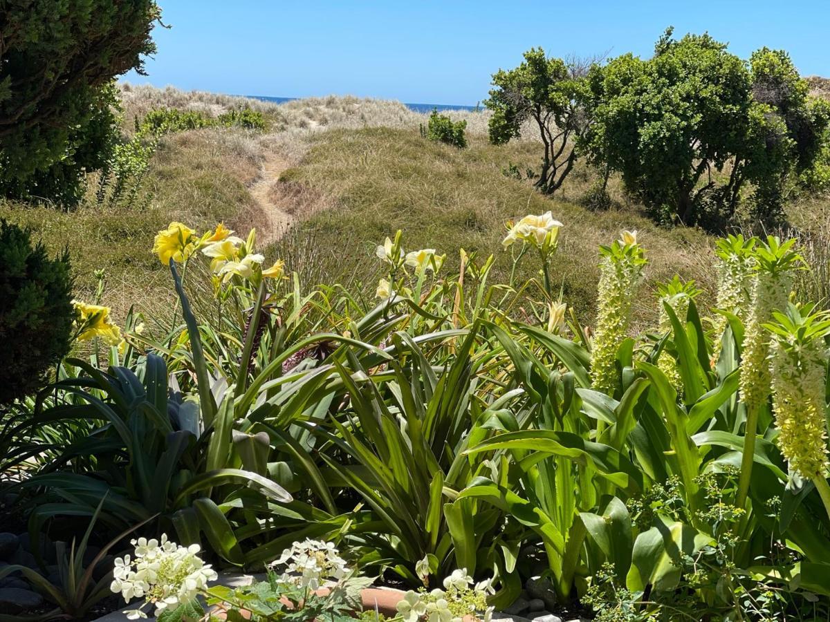 Absolute Beach ماوْنت مونغانيو المظهر الخارجي الصورة